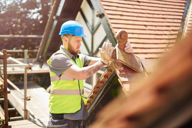 Gutter Installation and Roofing in Zephyrhills North, FL